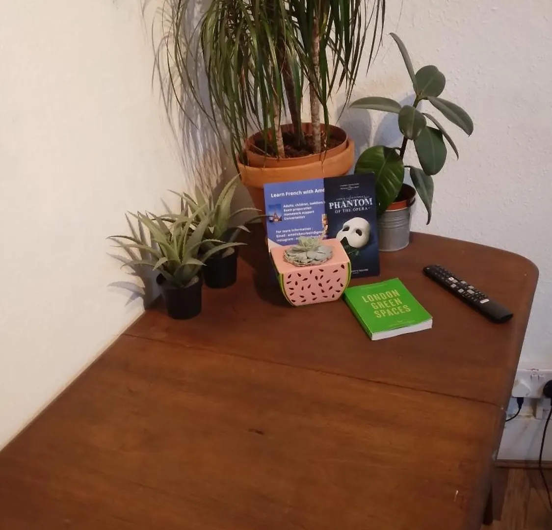 Shoreditch Studio Apartment With Private Shower And Toilet London 0*,  United Kingdom